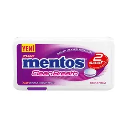 Mentos Clean Breath Orman Meyveli Aromalı Şeker 21 G