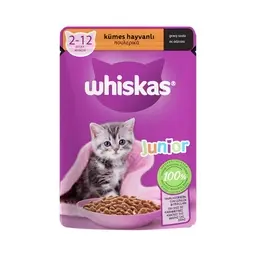 Whiskas Yavru Kedi Maması 85 G