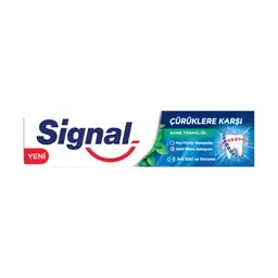 Signal Çürüklere Karşı Diş Macunu 100 ml
